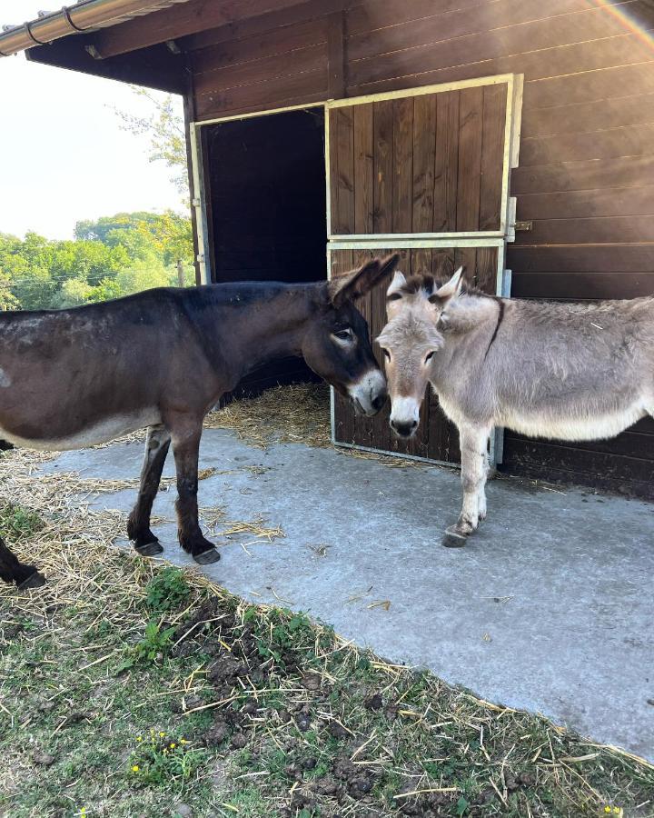 La Ferme Saint Pierre De Glabais Villa Genappe Bagian luar foto